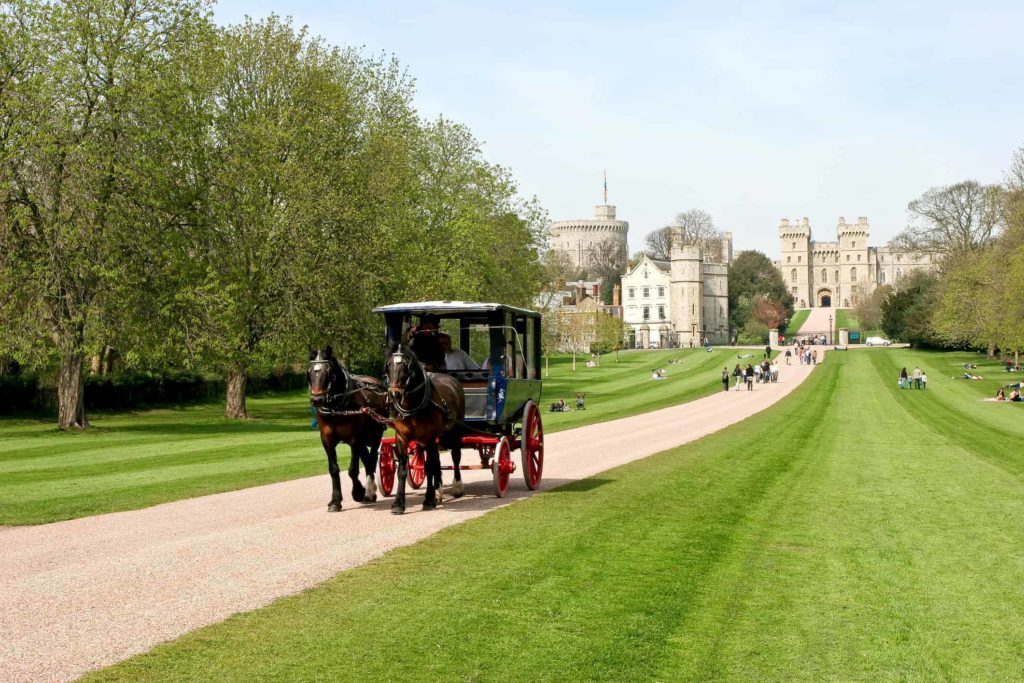 horse and carriage in windsor park